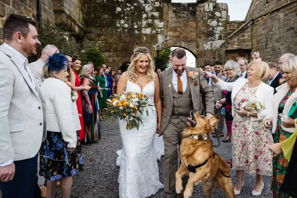 A bride and groom walk outside among guests, smiling, while a golden retriever dog excitedly jumps up between them. Drawn by Light Photography